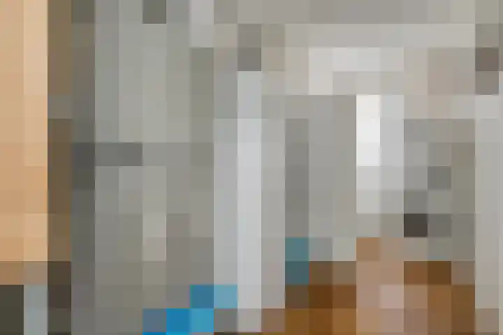 Burg.Backxlaan 36 Z Nieuwleusen thumbnail 48
