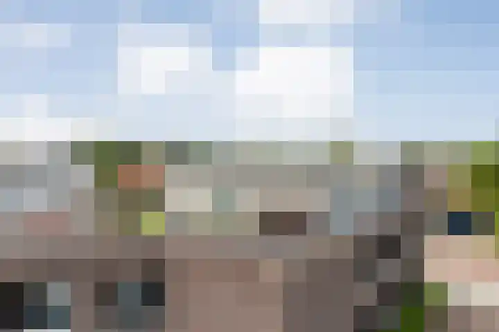 Burg.Backxlaan 36 Z Nieuwleusen thumbnail 5