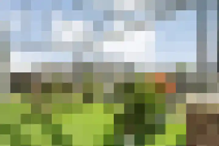 Burg.Backxlaan 36 Z Nieuwleusen thumbnail 50