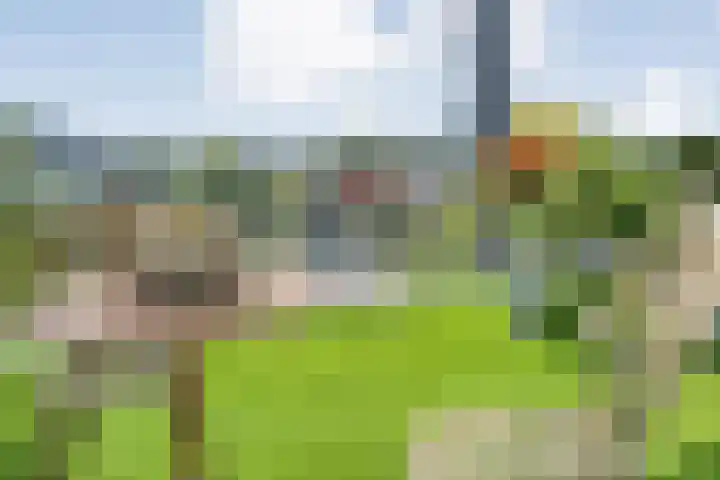 Burg.Backxlaan 36 Z Nieuwleusen thumbnail 51