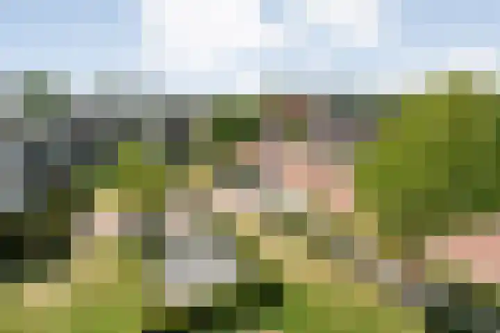 Burg.Backxlaan 36 Z Nieuwleusen thumbnail 52