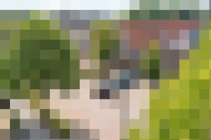 Burg.Backxlaan 36 Z Nieuwleusen thumbnail 53