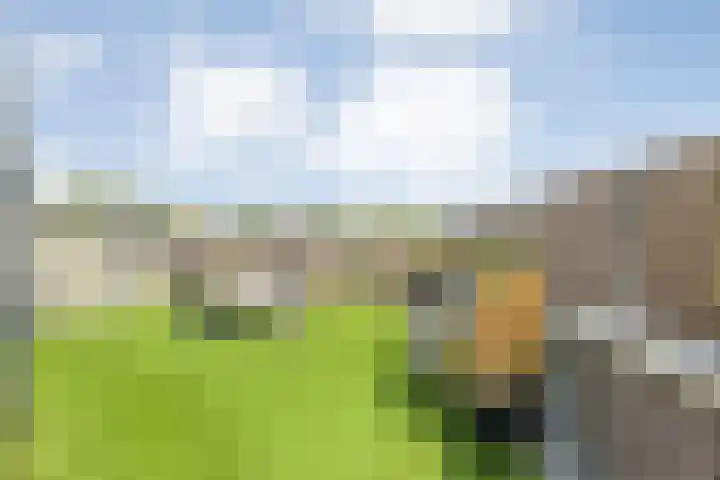 Burg.Backxlaan 36 Z Nieuwleusen thumbnail 54