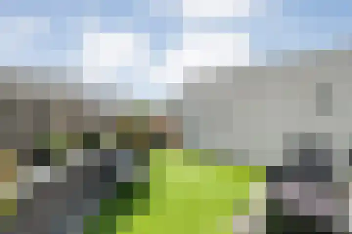 Burg.Backxlaan 36 Z Nieuwleusen thumbnail 56
