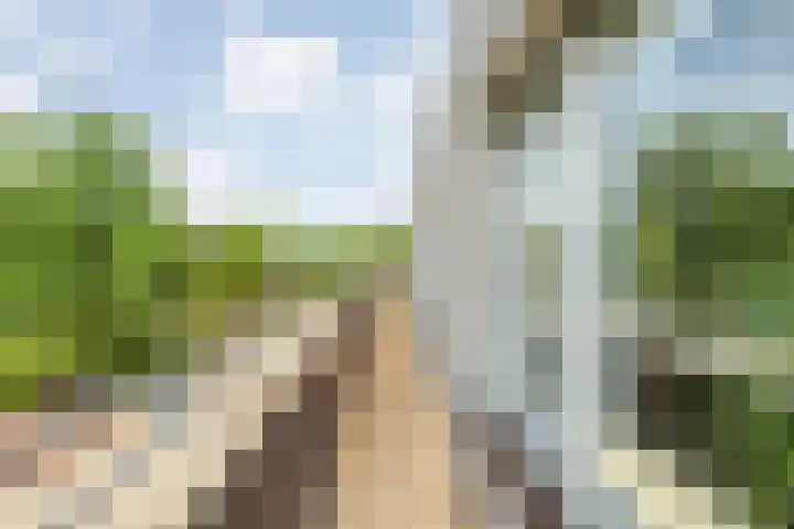 Burg.Backxlaan 36 Z Nieuwleusen thumbnail 57