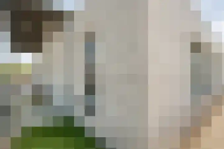 Burg.Backxlaan 36 Z Nieuwleusen thumbnail 58