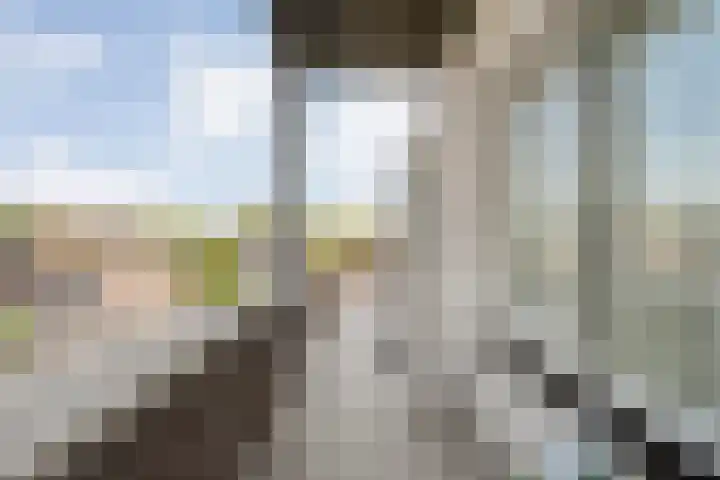 Burg.Backxlaan 36 Z Nieuwleusen thumbnail 59