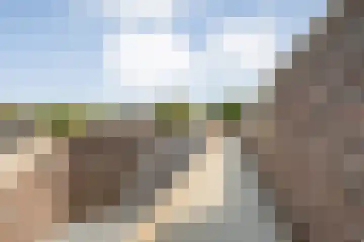 Burg.Backxlaan 36 Z Nieuwleusen thumbnail 60