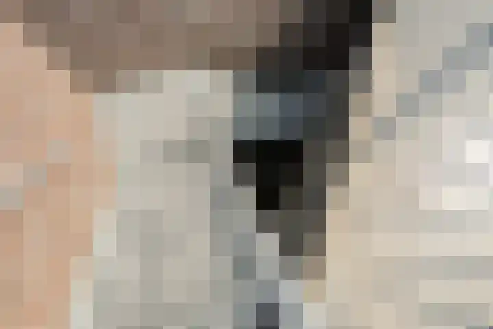 Burg.Backxlaan 36 Z Nieuwleusen thumbnail 61