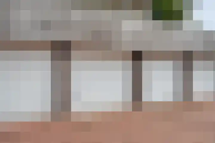 Burg.Backxlaan 36 Z Nieuwleusen thumbnail 63
