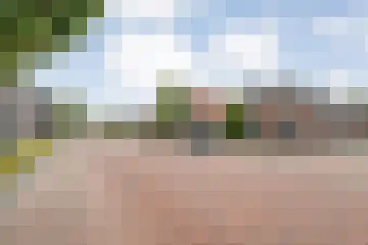 Burg.Backxlaan 36 Z Nieuwleusen thumbnail 64