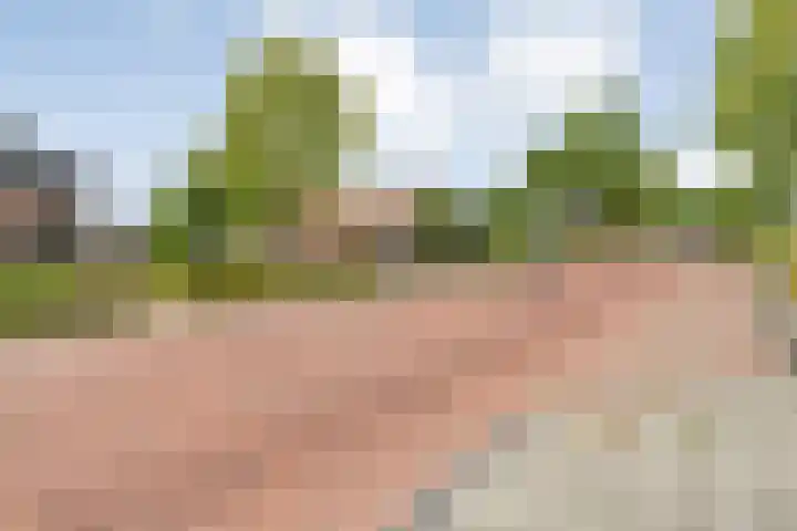 Burg.Backxlaan 36 Z Nieuwleusen thumbnail 66