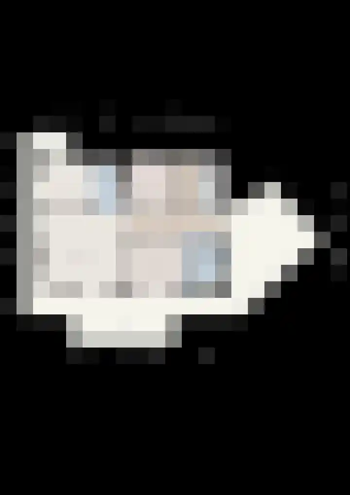 Burg.Backxlaan 36 Z Nieuwleusen thumbnail 68