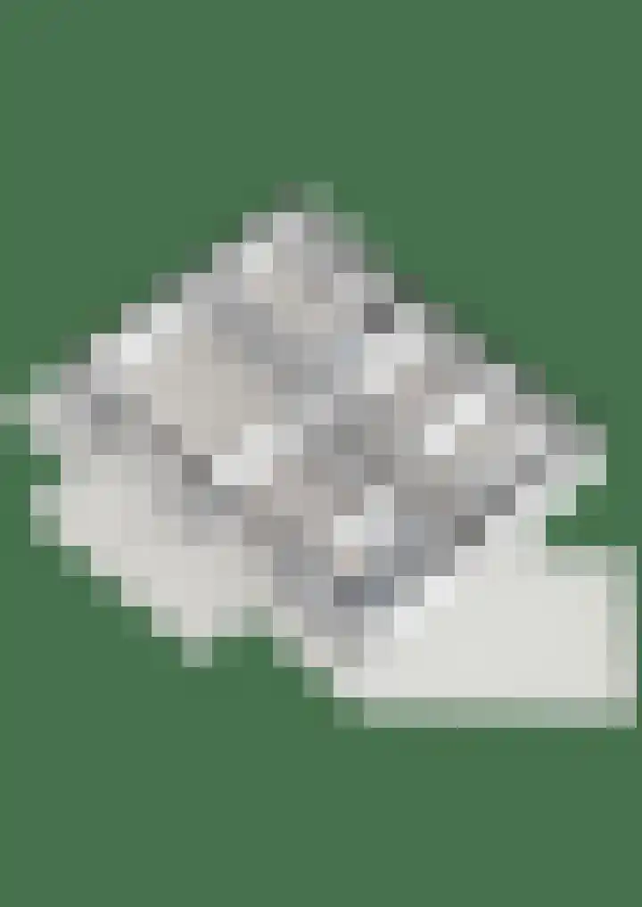 Burg.Backxlaan 36 Z Nieuwleusen thumbnail 69