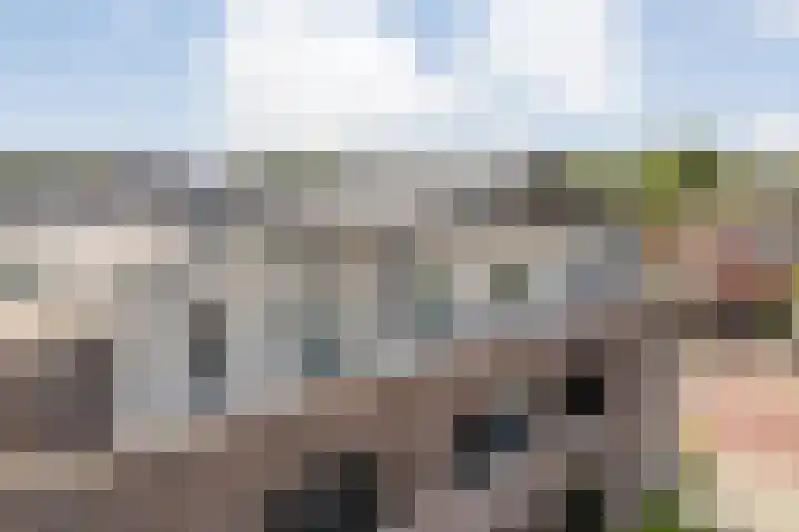 Burg.Backxlaan 36 Z Nieuwleusen thumbnail 7