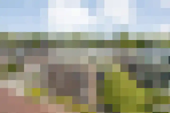 Burg.Backxlaan 36 Z Nieuwleusen thumbnail 75