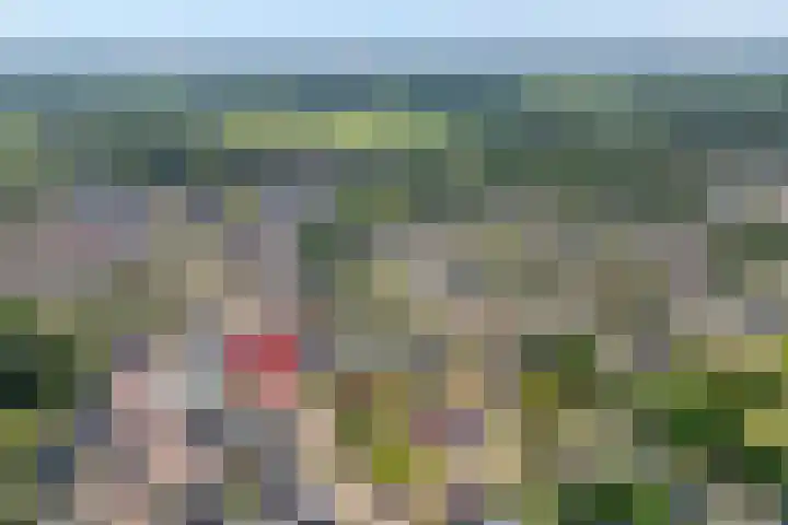 Burg.Backxlaan 36 Z Nieuwleusen thumbnail 8