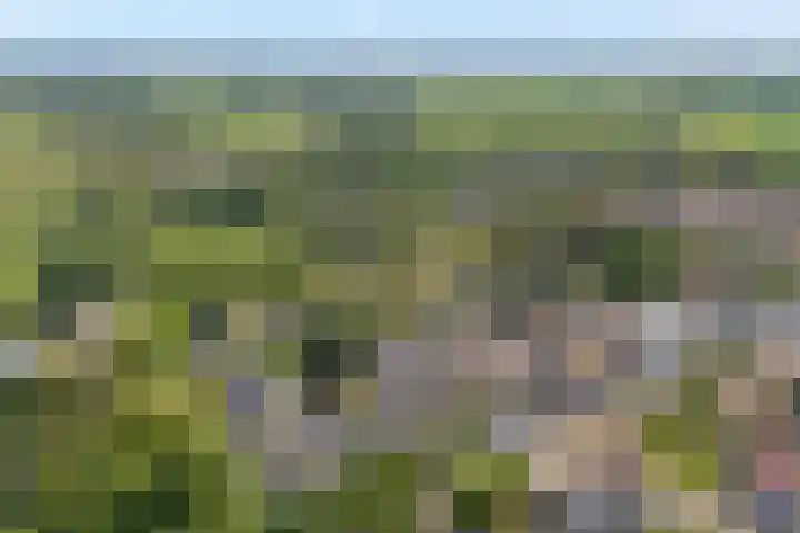 Burg.Backxlaan 36 Z Nieuwleusen thumbnail 9