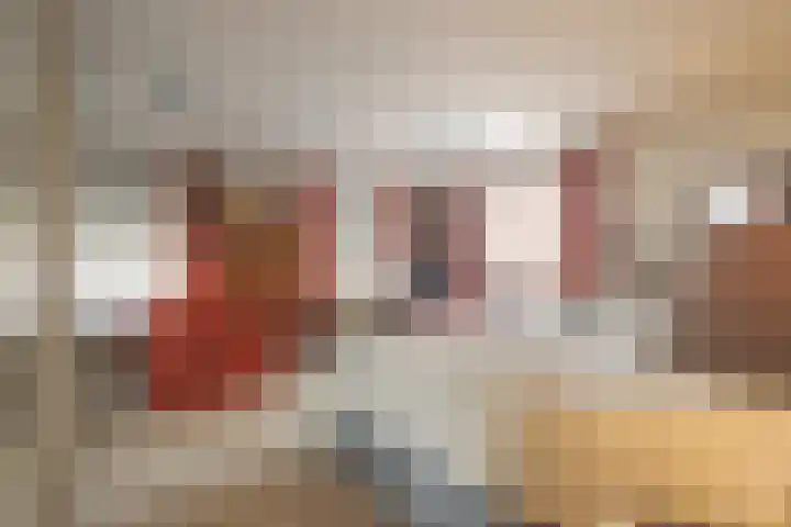 Burg.Backxlaan 4 L in Nieuwleusen