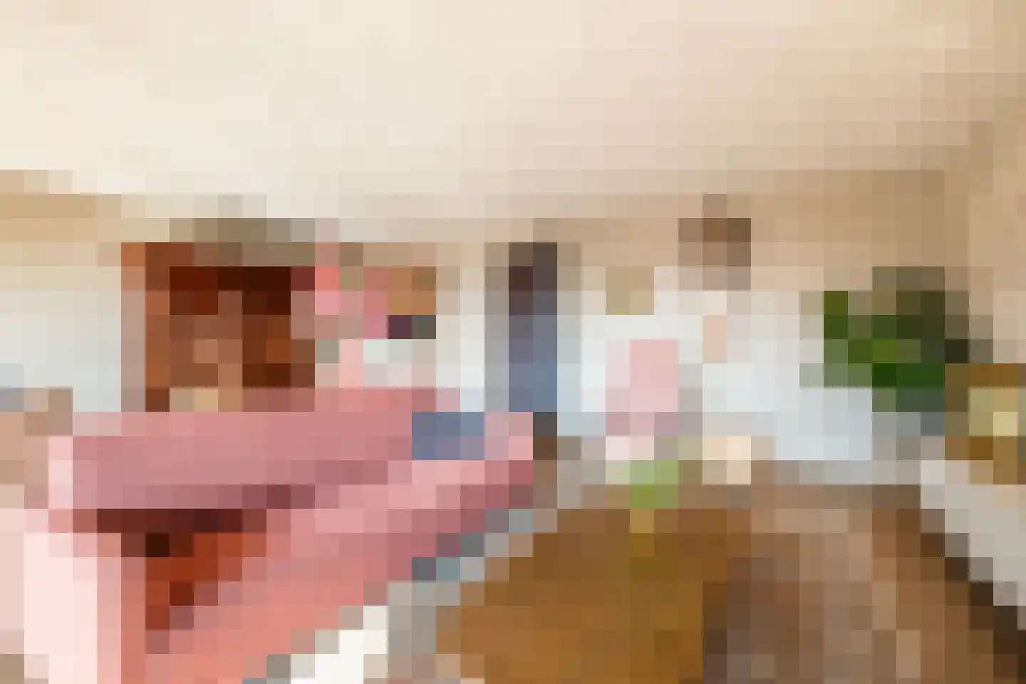 Burg.Backxlaan 4 L Nieuwleusen thumbnail 11