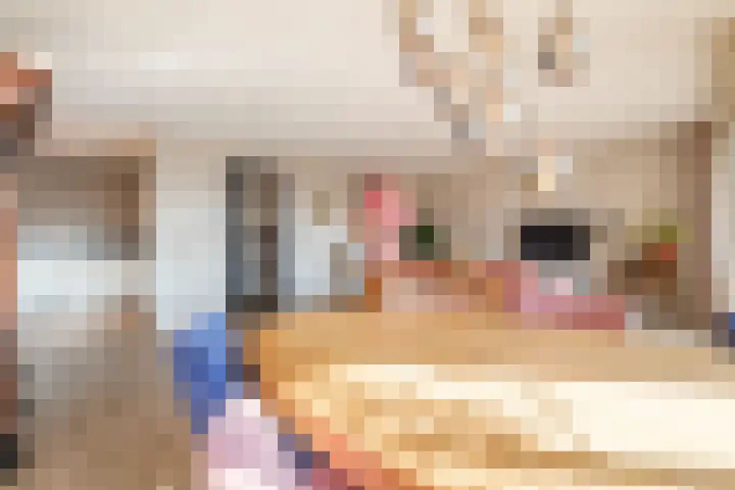 Burg.Backxlaan 4 L Nieuwleusen thumbnail 12
