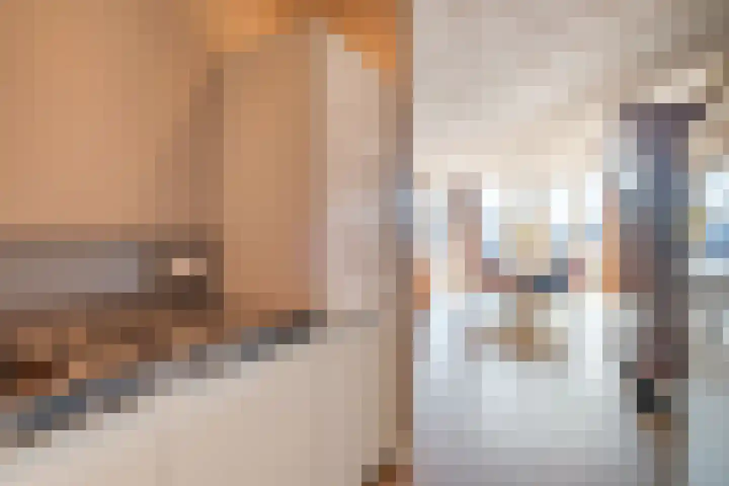 Burg.Backxlaan 4 L Nieuwleusen thumbnail 16