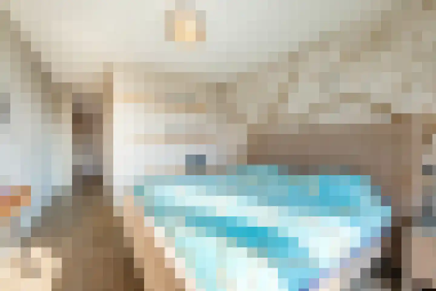 Burg.Backxlaan 4 L Nieuwleusen thumbnail 21