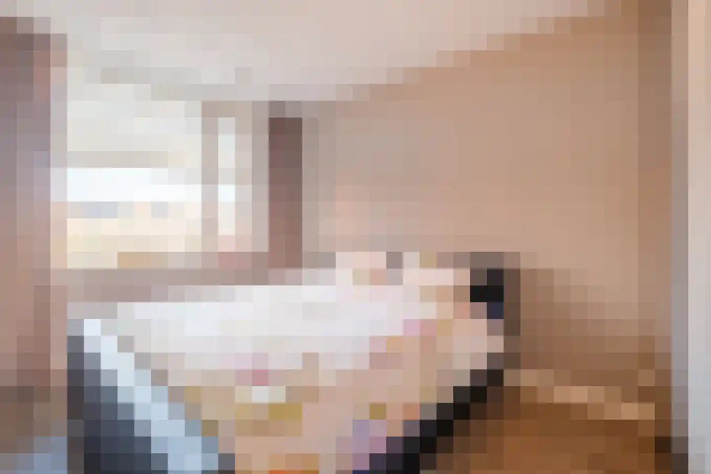 Burg.Backxlaan 4 L Nieuwleusen thumbnail 23