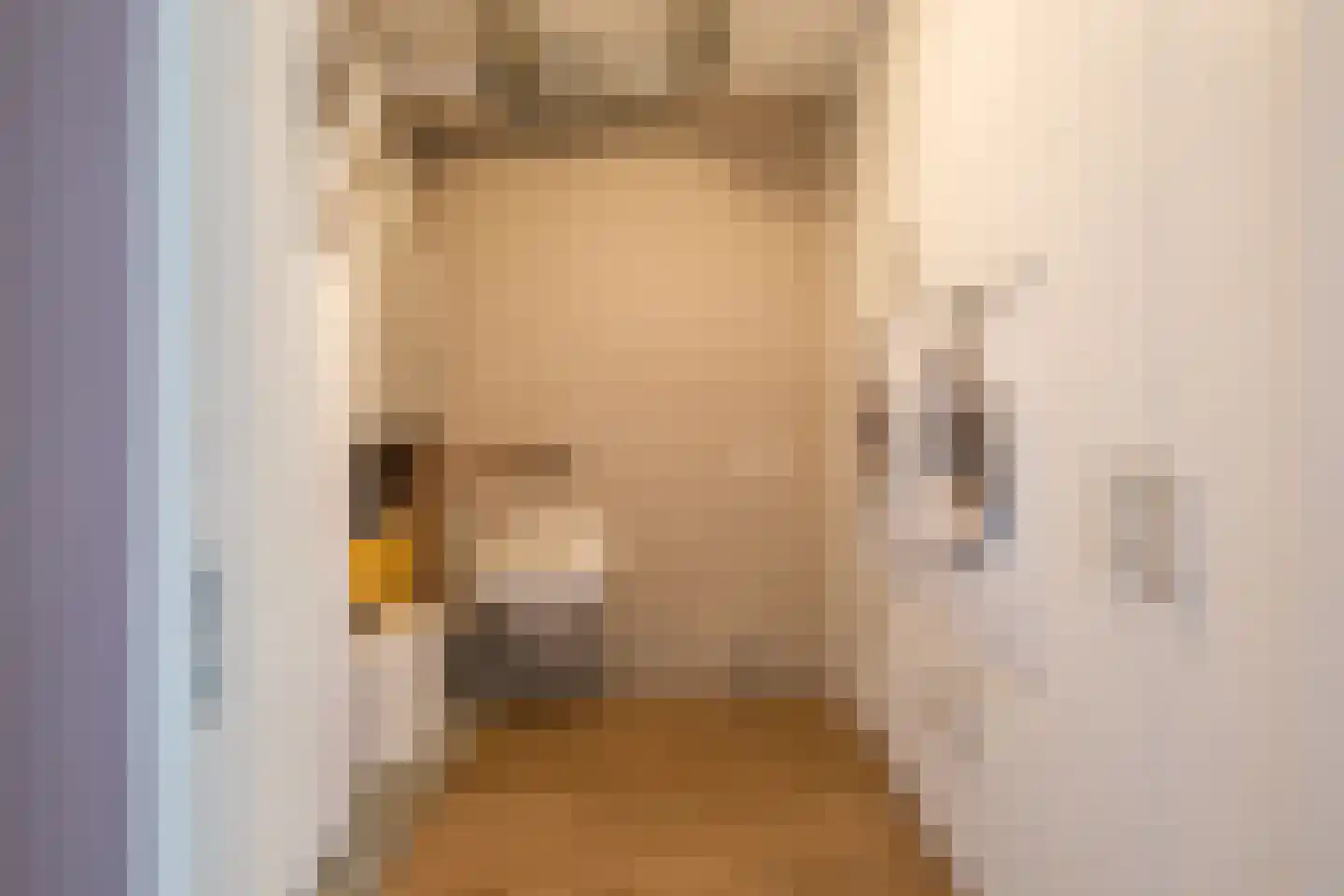 Burg.Backxlaan 4 L Nieuwleusen thumbnail 30