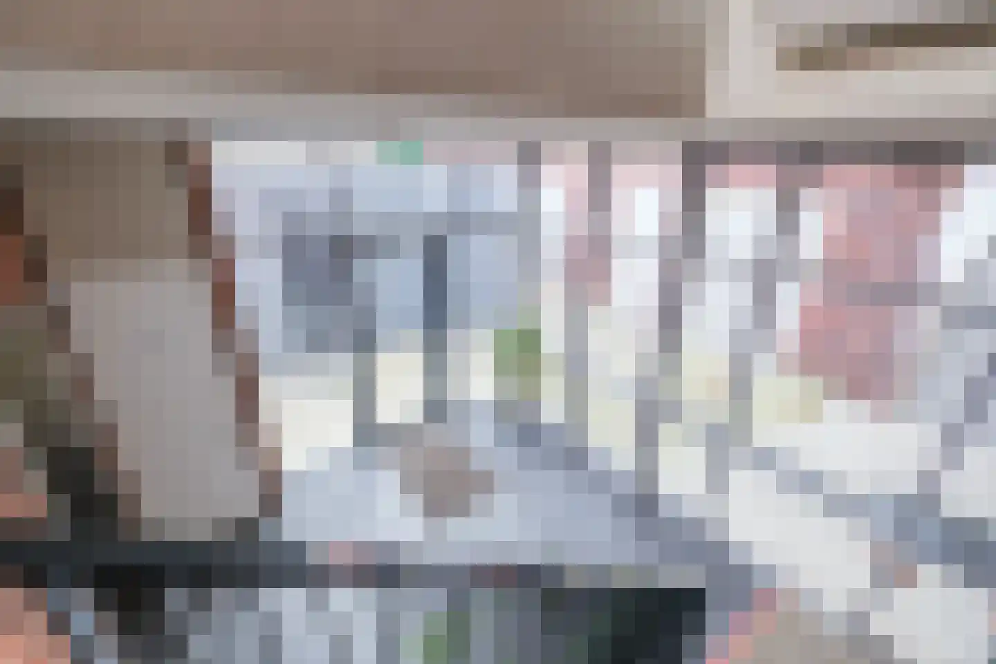 Burg.Backxlaan 4 L Nieuwleusen thumbnail 34