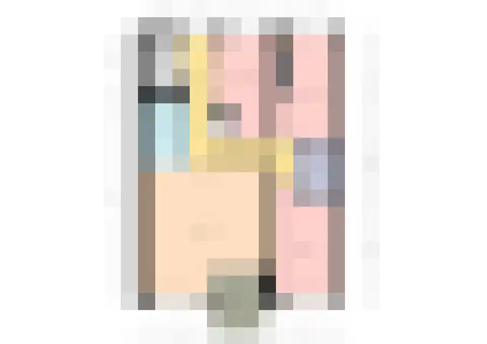 Burg.Backxlaan 4 L Nieuwleusen thumbnail 41