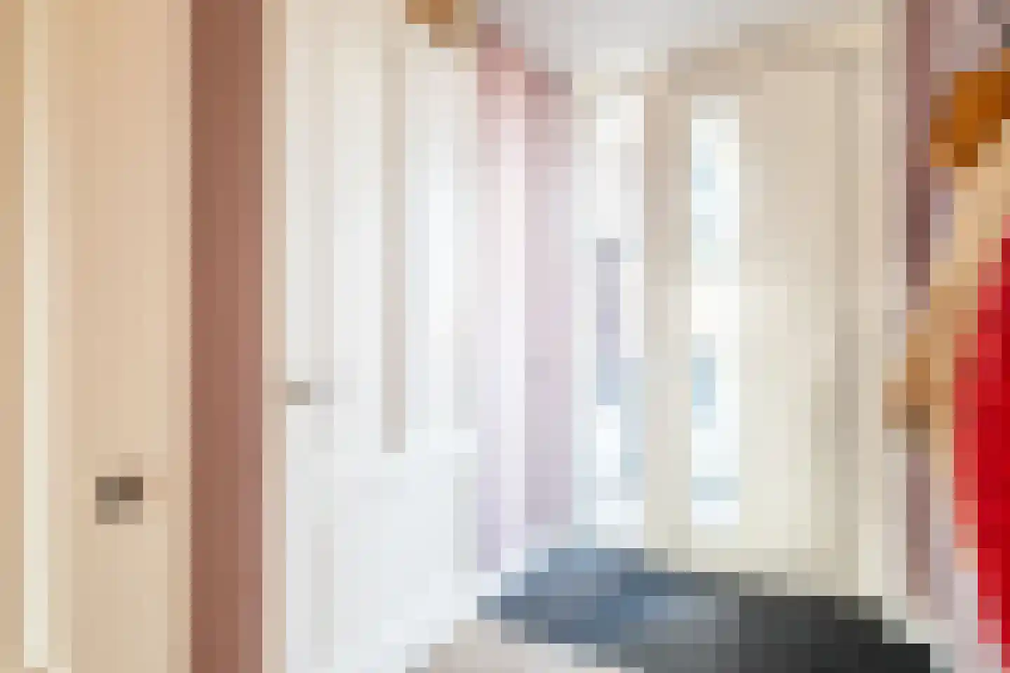 Burg.Backxlaan 4 L Nieuwleusen thumbnail 5