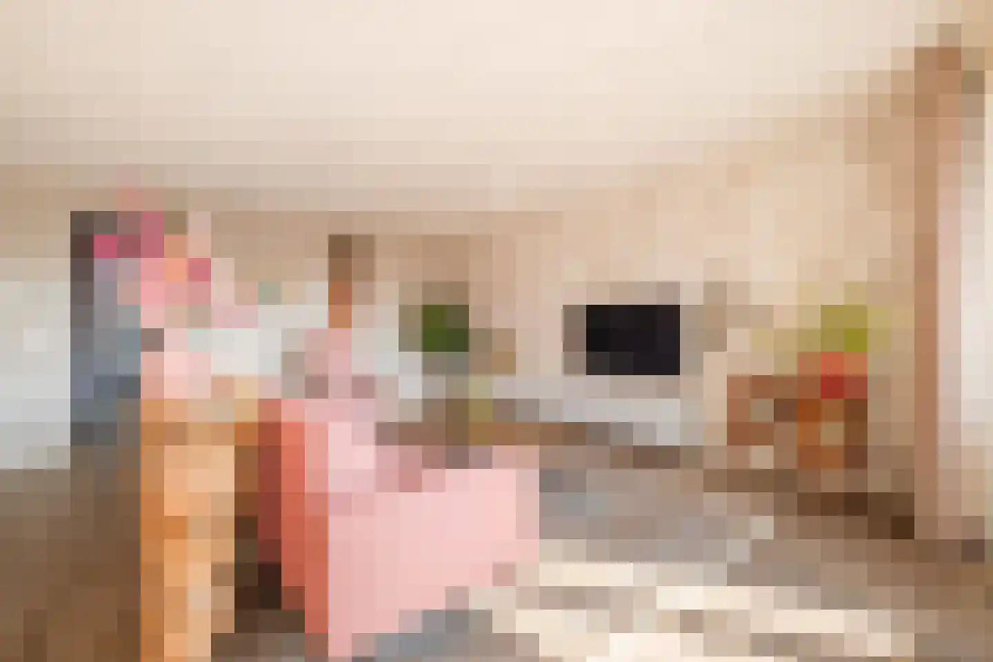 Burg.Backxlaan 4 L Nieuwleusen thumbnail 8