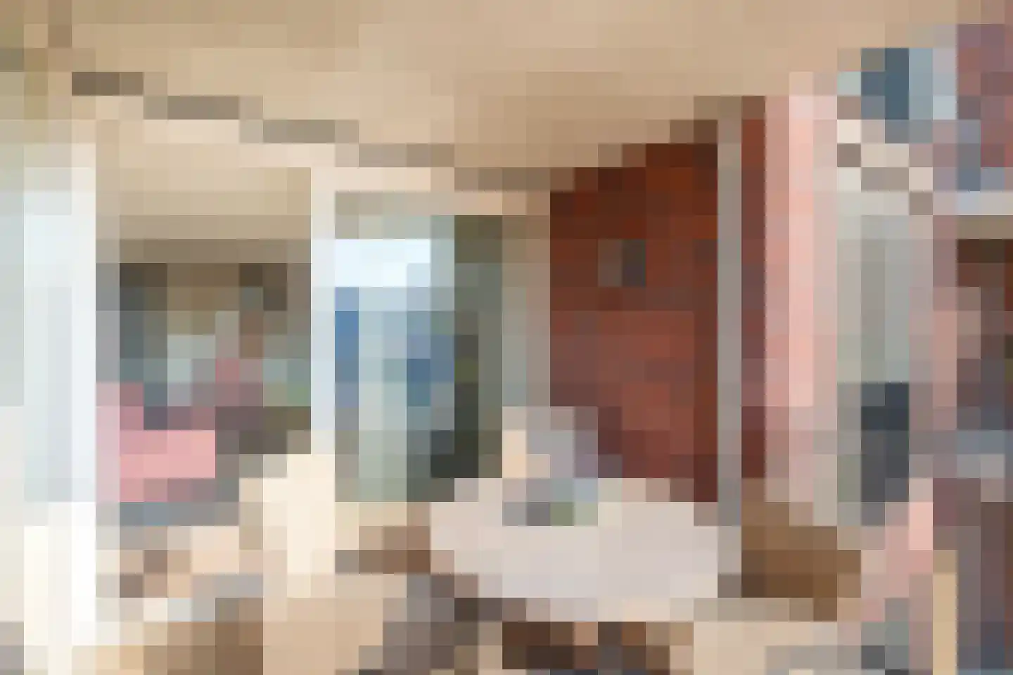 Burg.Backxlaan 4 L Nieuwleusen thumbnail 9