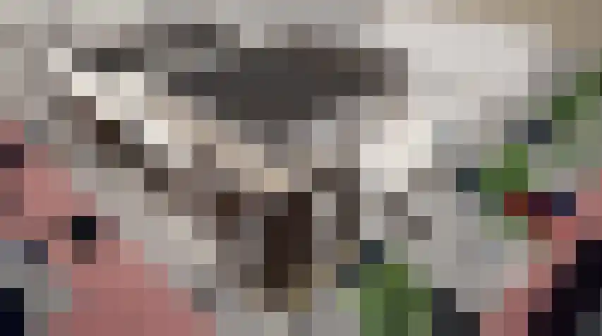 Burg.Backxlaan 9 C Nieuwleusen thumbnail 8