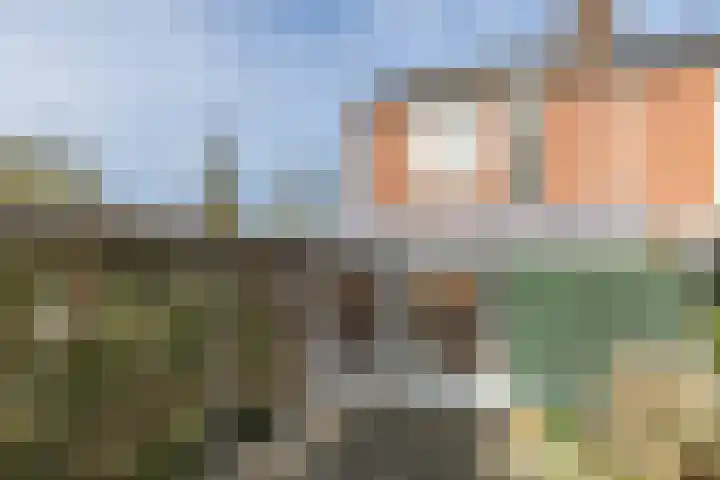 Burg. Baron van Hövellstraat 1 Wijlre thumbnail 29