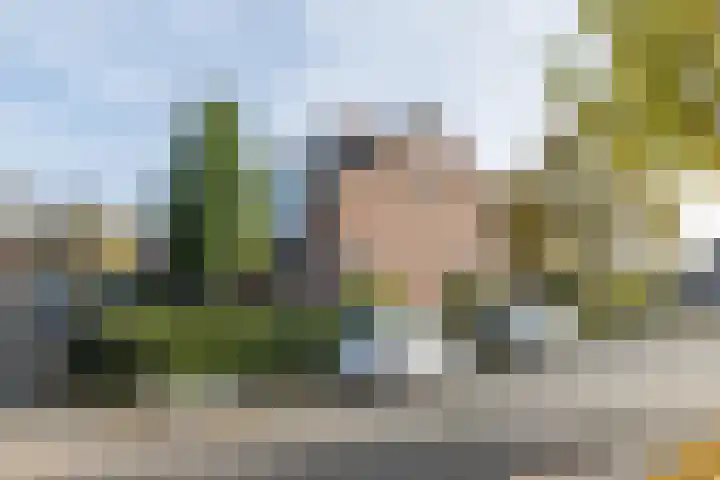 Burg. Baron van Hövellstraat 1 Wijlre thumbnail 33