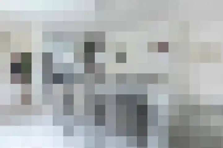 Burg. Baron van Hövellstraat 10 Wijlre thumbnail 11