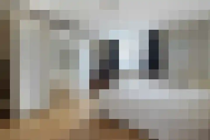Burg. Baron van Hövellstraat 10 Wijlre thumbnail 22