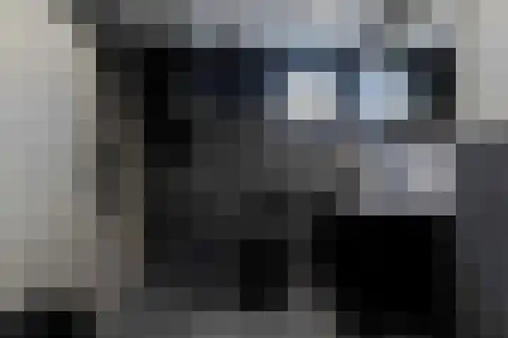 Burg. Baron van Hövellstraat 10 Wijlre thumbnail 24