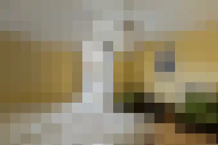 Burg. Baron van Hövellstraat 10 Wijlre thumbnail 28