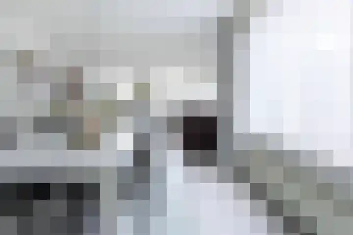 Burg. Baron van Hövellstraat 10 Wijlre thumbnail 5