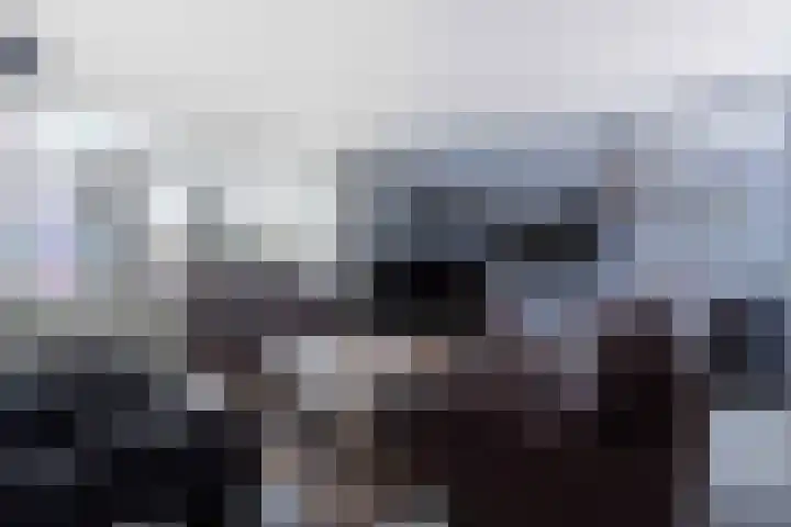 Burg. Baron van Hövellstraat 10 Wijlre thumbnail 7