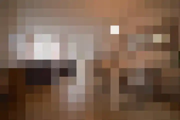 Burg. Baron van Hövellstraat 5 Wijlre thumbnail 11