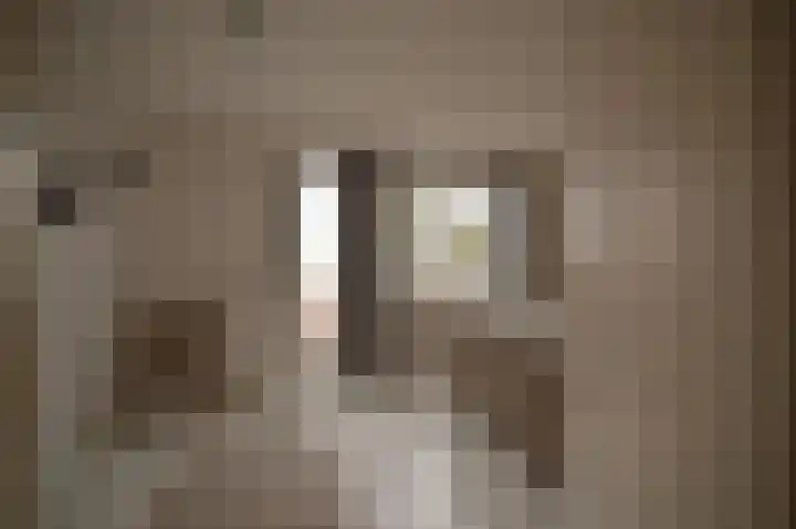 Burg. Baron van Hövellstraat 5 Wijlre thumbnail 31