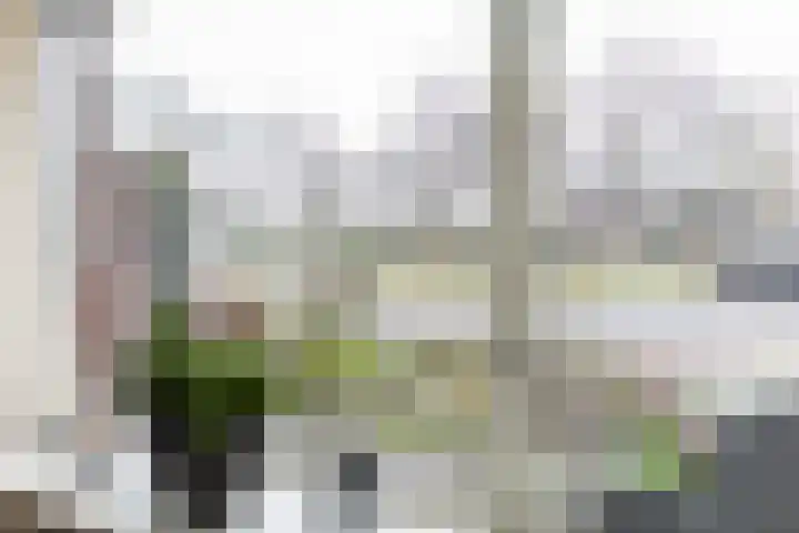 Burg Bijleveldsingel 10 Hattem thumbnail 9