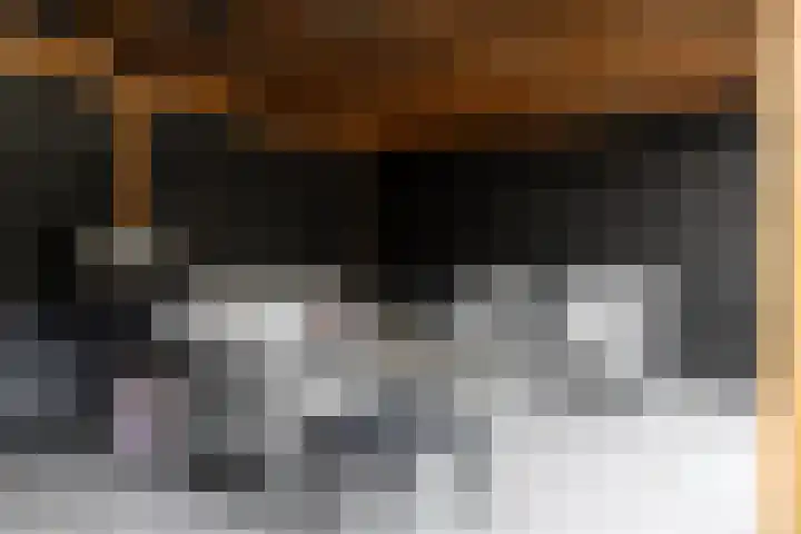 Burg Bijleveldsingel 28 Hattem thumbnail 31