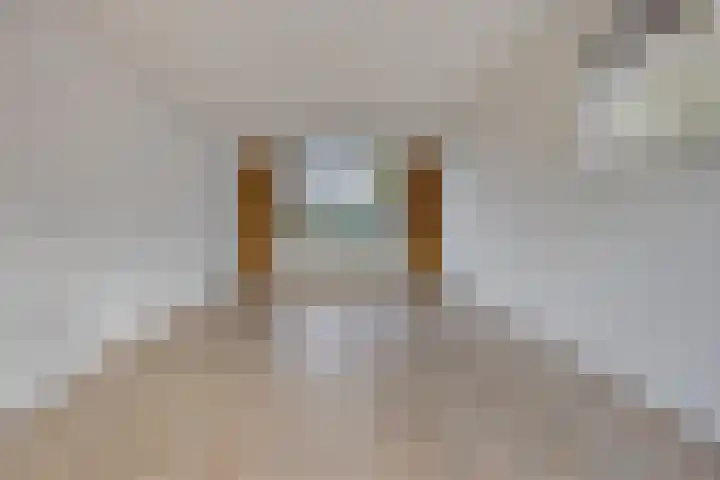 Burg. Bogmanstraat 10 Schimmert thumbnail 6