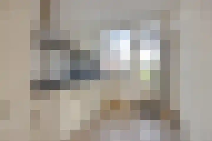 Burg. Bogmanstraat 10 Schimmert thumbnail 8