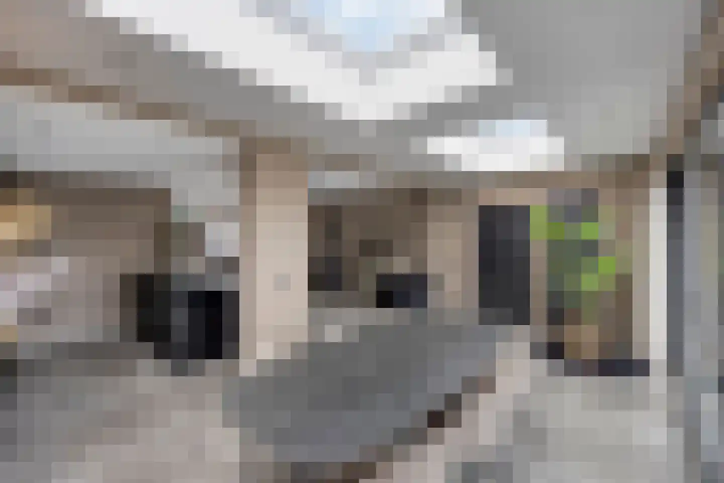 Burg. Bogmanstraat 15 Schimmert thumbnail 19